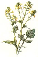 710402.JPG