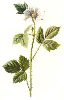 710401.JPG