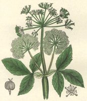 710102.JPG