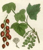 710028.JPG