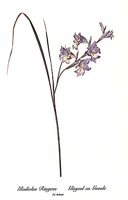701836.JPG