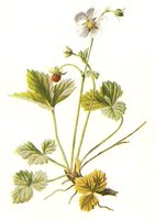 710410.JPG