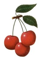 709049.JPG
