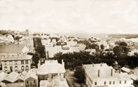 003807.JPG