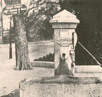 002877.JPG