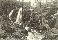 004204.JPG