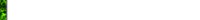 OZ000019.GIF