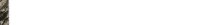 NEW00089.GIF
