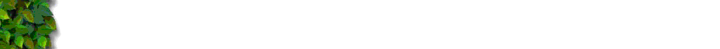 LEAF0005.GIF