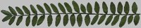 JB000995.GIF