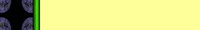 Brdr0482.gif