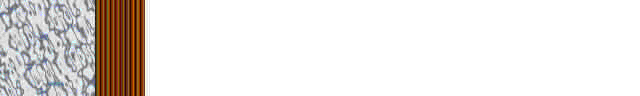 Brdr0440.gif