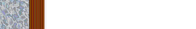 Brdr0439.gif