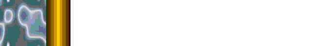 Brdr0428.gif