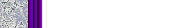 Brdr0418.gif