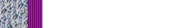 Brdr0411.gif