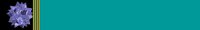 Brdr0382.gif