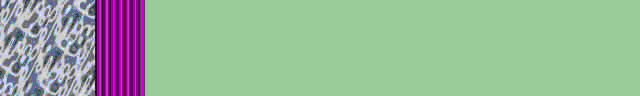 Brdr0272.gif