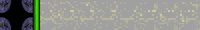 Brdr0253.gif