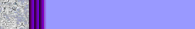 Brdr0176.gif