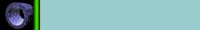 Brdr0026.gif