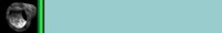 Brdr0024.gif