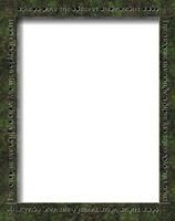 Bord8.gif