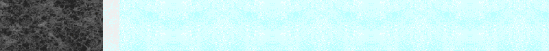 Bac_9.gif