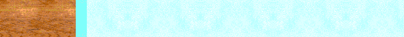 Bac_88.gif