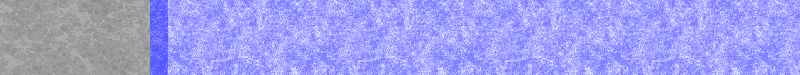 Bac_81.gif