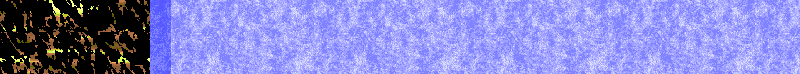 Bac_68.gif