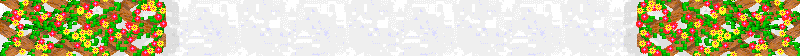 Bac_56.gif
