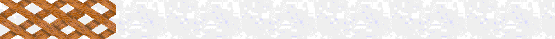 Bac_51.gif