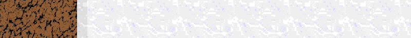 Bac_40.gif