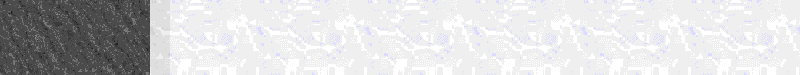 Bac_39.gif