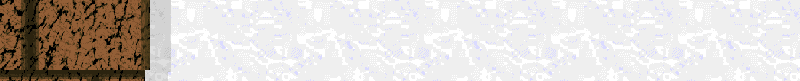 Bac_24.gif