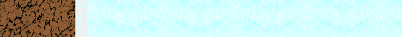 Bac_14.gif