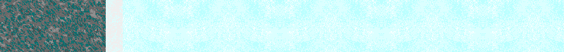Bac_12.gif