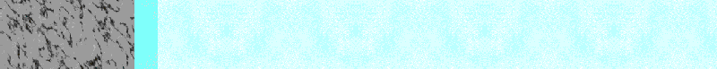 Bac_1.gif