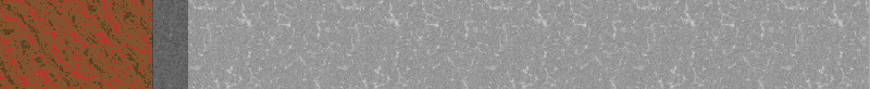 Bac_036.gif