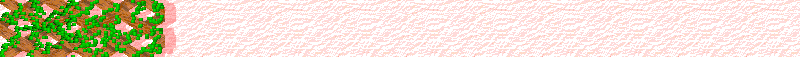 BAC898.GIF