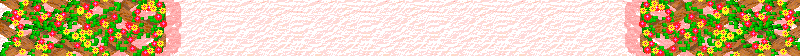BAC896.GIF