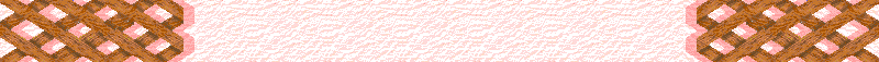 BAC894.GIF