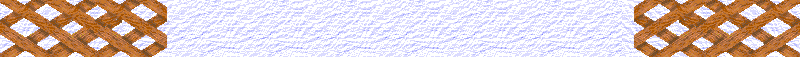 BAC890.GIF