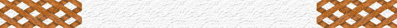 BAC880.GIF