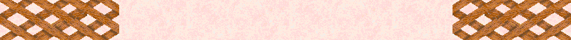 BAC870.GIF