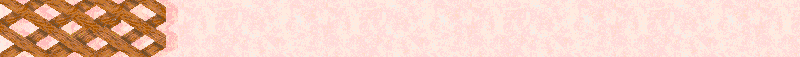 BAC864.GIF