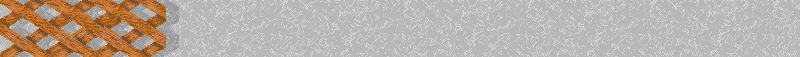 BAC829.GIF