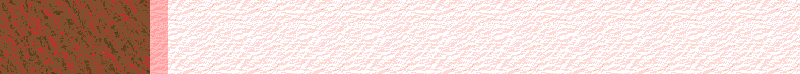 BAC819.GIF