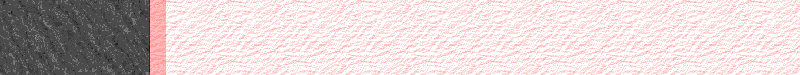 BAC813.GIF